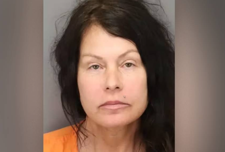 Florida Woman Catches Second DUI in 2 Weeks After Crashing into House ...
